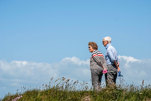 Vornaletira galéria 1