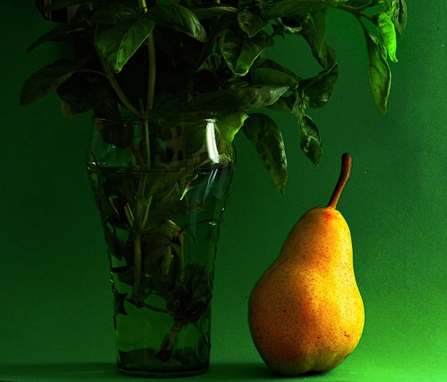 Vornaletira galéria 3